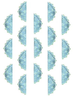 Pir-ü Pak Turkish Hammam Rituals