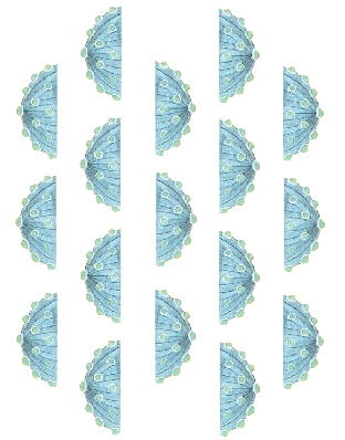 Pir-ü Pak Turkish Hammam Rituals